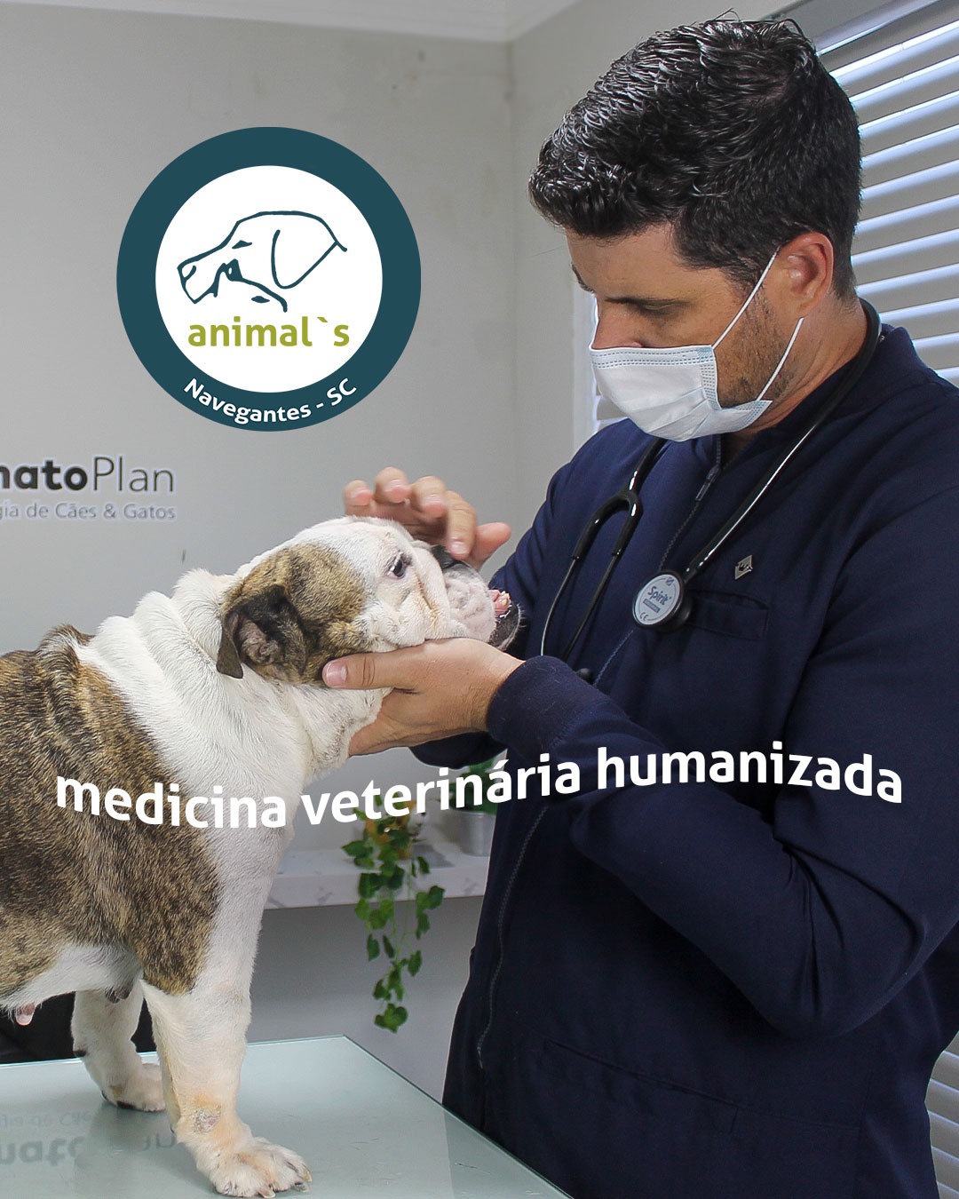 Consultório da Clínica Animals