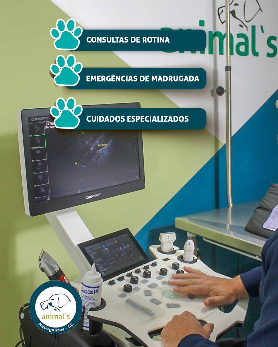 Gato em consulta cat-friendly